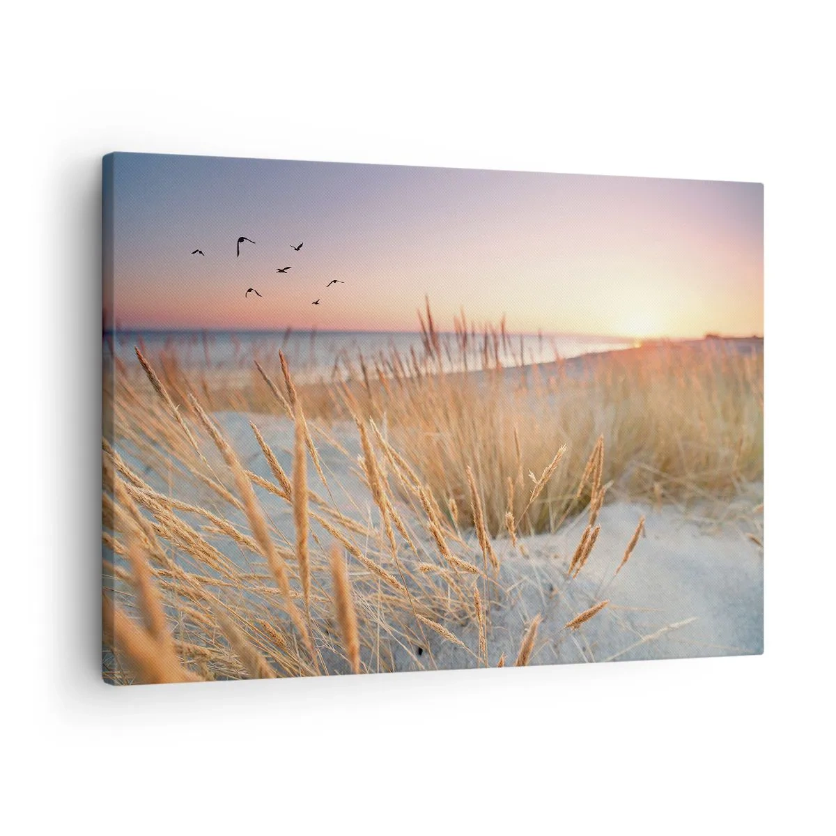 Obraz na płótnie - Plaża o zachodzie słońca z wysokimi trawami - 70x50cm - Bałtycka kołysanka - Nowoczesna dekoracja ścienna do salonu i sypialni ARTTOR