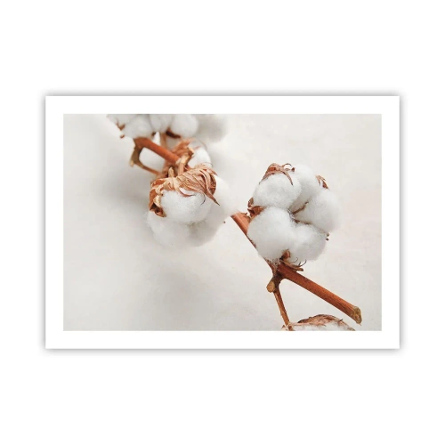 Plakat - Tylko tulić - 70x50 cm