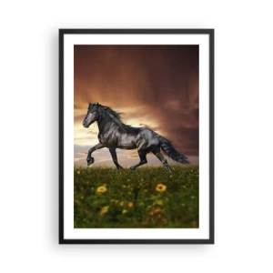 Plakat w czarnej ramie - Czarny koń galopujący po łące w świetle zachodzącego słońca - 50x70cm - Czarny książę - Nowoczesna dekoracja ścienna do salonu i sypialni ARTTOR