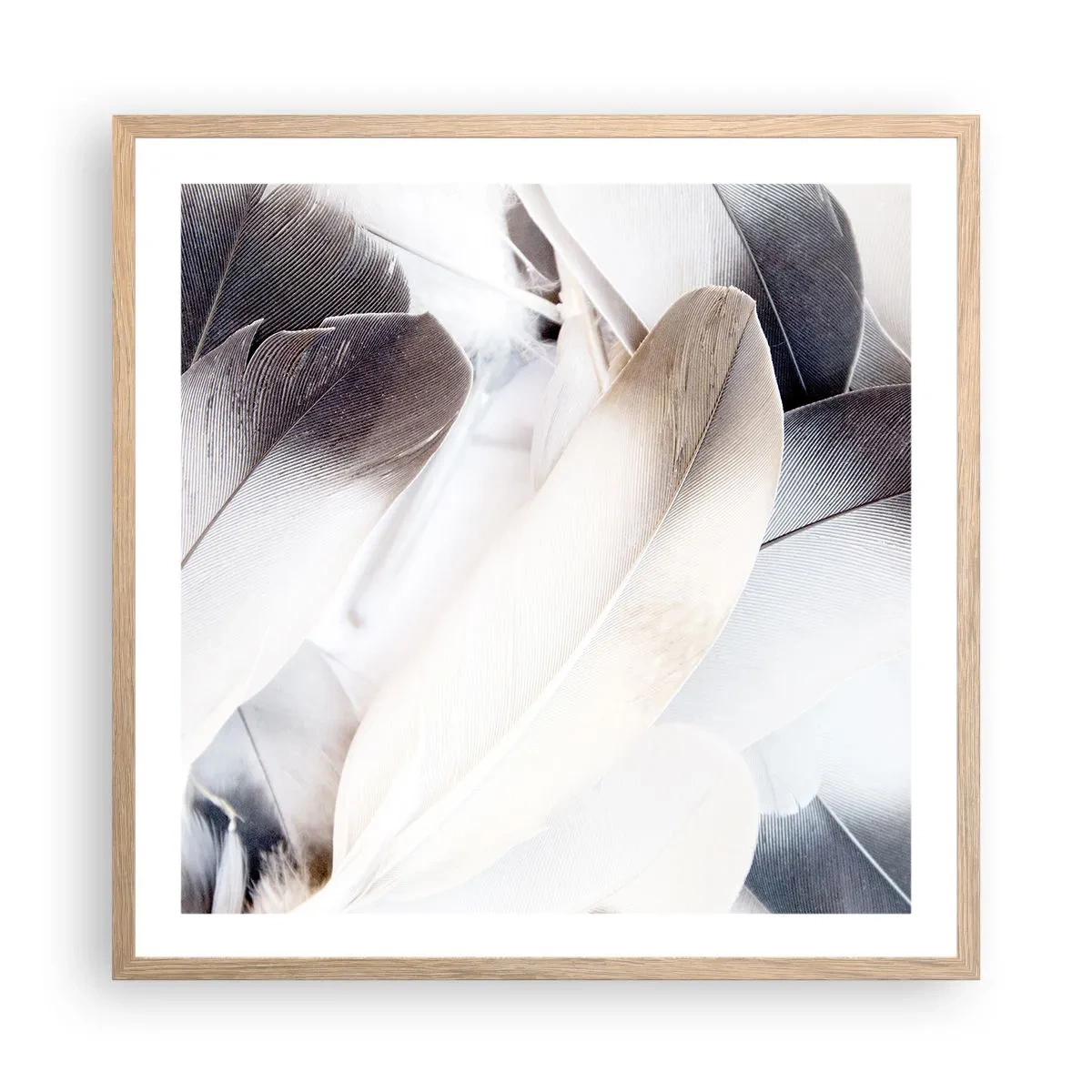 Plakat w ramie jasny dąb - Niemal anielskie - 60x60 cm