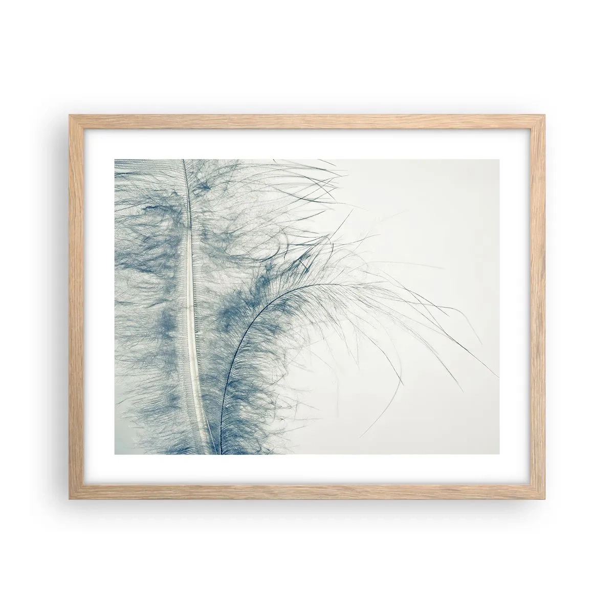 Plakat w ramie jasny dąb - Szept natury - 50x40 cm