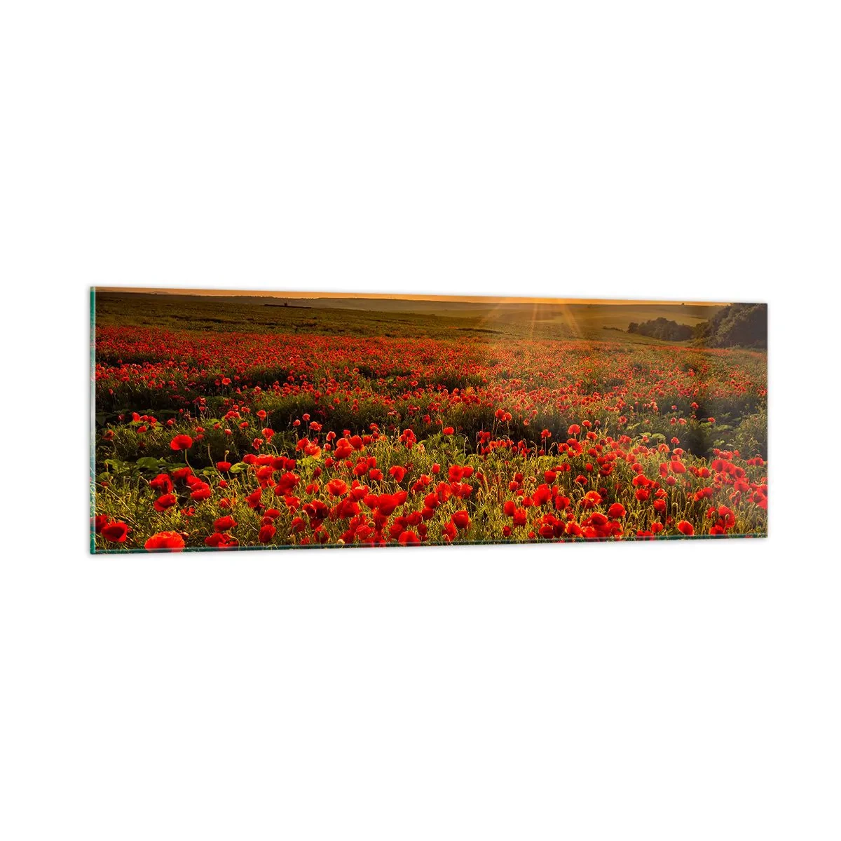 Obraz na szkle - Wśród fali łąk szumiących, wśród kwiatów powodzi - 90x30 cm
