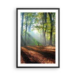 Plakat w czarnej ramie - Słoneczne promienie w lesie jesiennym - 50x70cm - Blaski i cienie - Nowoczesna dekoracja ścienna do salonu i sypialni ARTTOR