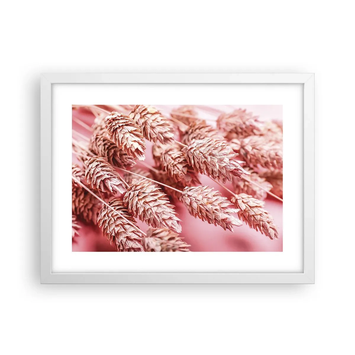 Plakat w białej ramie - Kwietna kaskada w różu - 40x30 cm