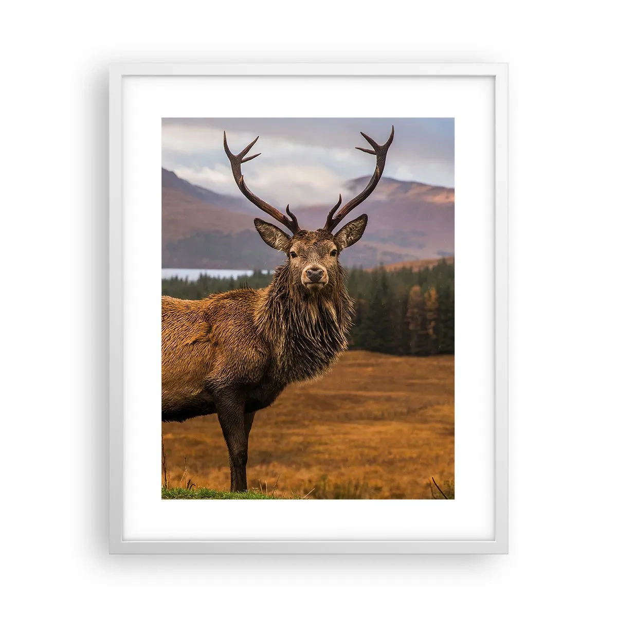 Plakat w białej ramie - Majestat natury - 40x50 cm