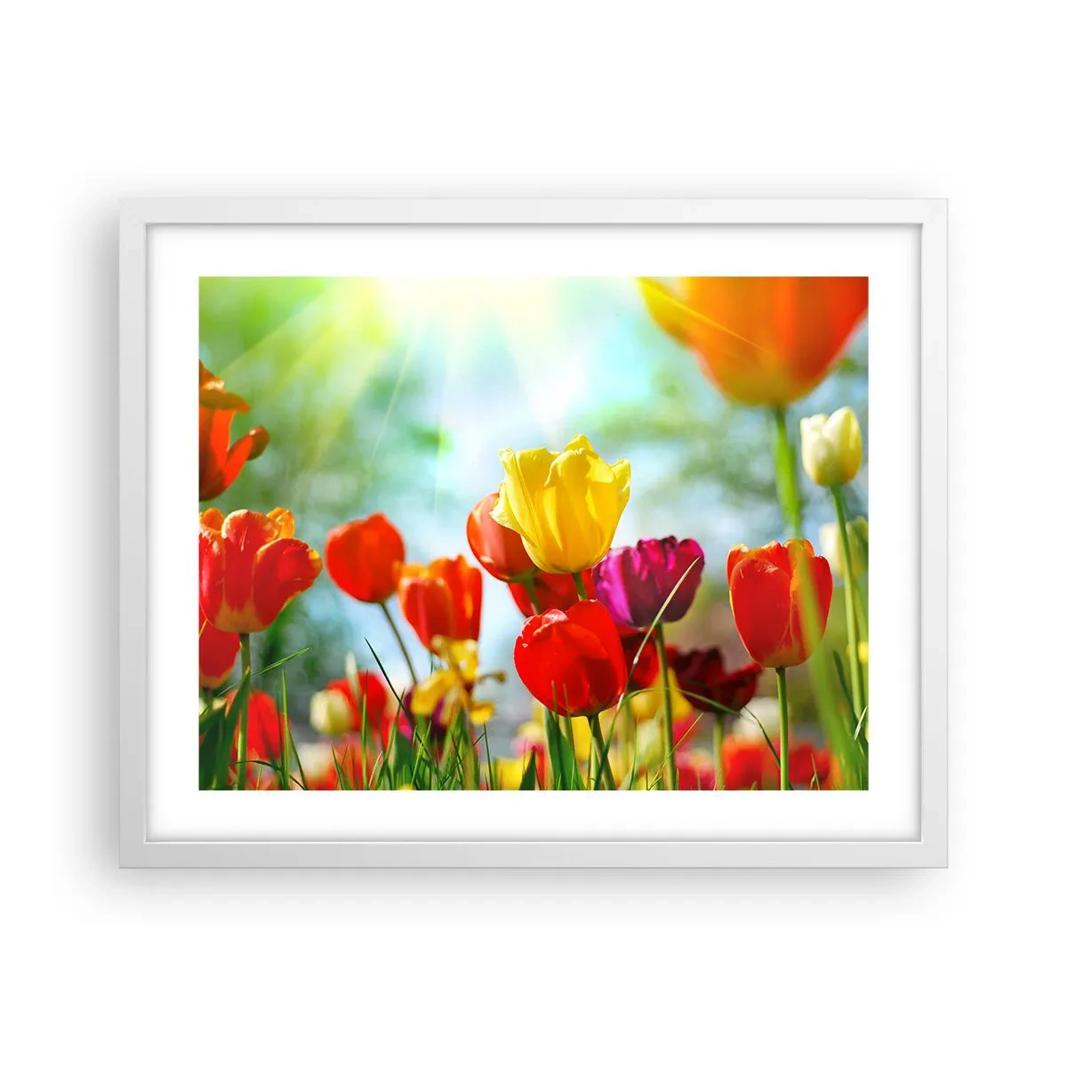 Plakat w białej ramie - Wszystkie barwy słońca - 50x40 cm