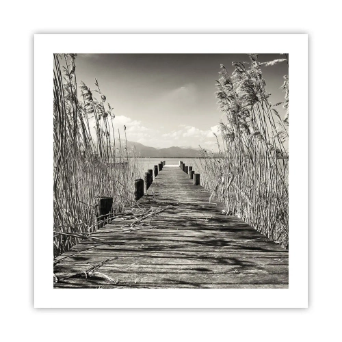 Plakat - W zaciszu traw - 50x50 cm