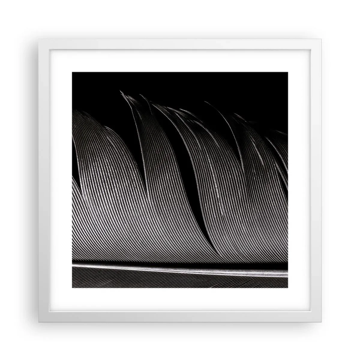 Plakat w białej ramie - Pióro – cudowna konstrukcja - 40x40 cm