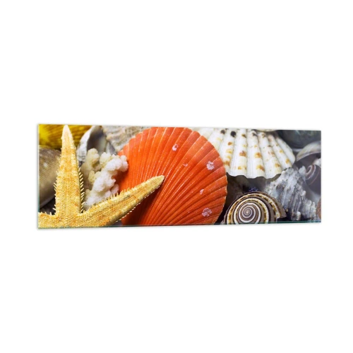 Obraz na szkle - Muszle i rozgwiazda w kompozycji morskiej - 160x50cm - Skarby oceanu - Nowoczesna dekoracja ścienna do salonu i sypialni ARTTOR