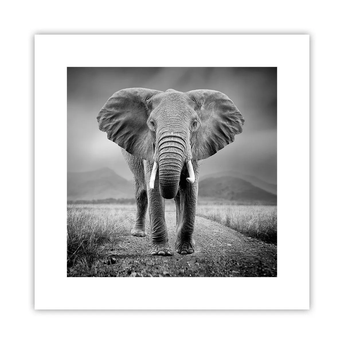 Plakat - Gospodarz wita - 30x30 cm