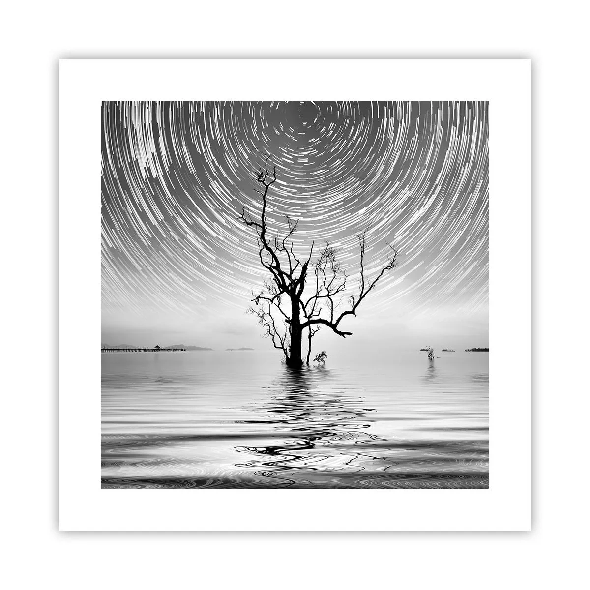 Plakat - Symfonia natury - 40x40 cm