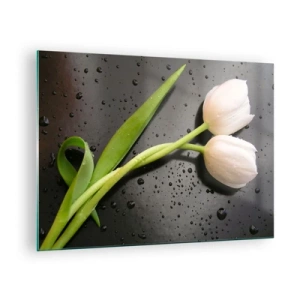 Obraz na szkle - Białe tulipany na tle z kroplami wody - 70x50cm - Wiosenny splot - Nowoczesna dekoracja ścienna do salonu i sypialni ARTTOR