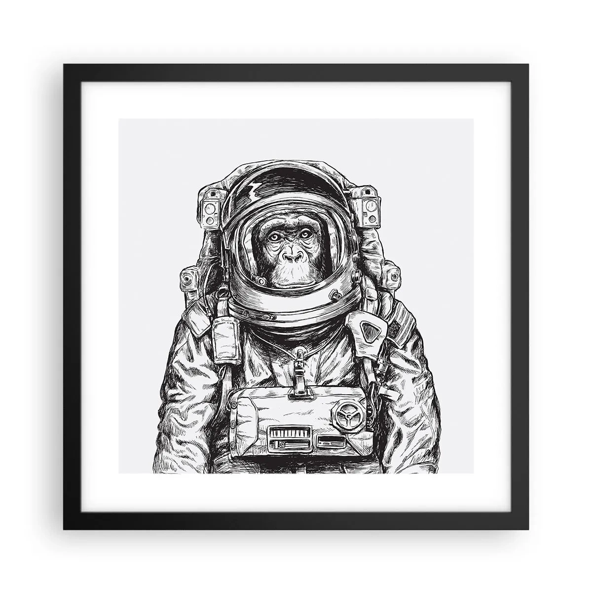 Plakat w czarnej ramie - Alternatywna ewolucja - 40x40 cm