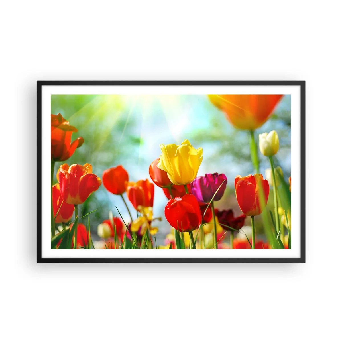 Plakat w czarnej ramie - Wszystkie barwy słońca - 91x61 cm