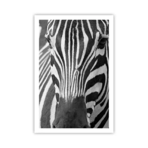 Plakat - Świat jest czarno-biały - 61x91 cm