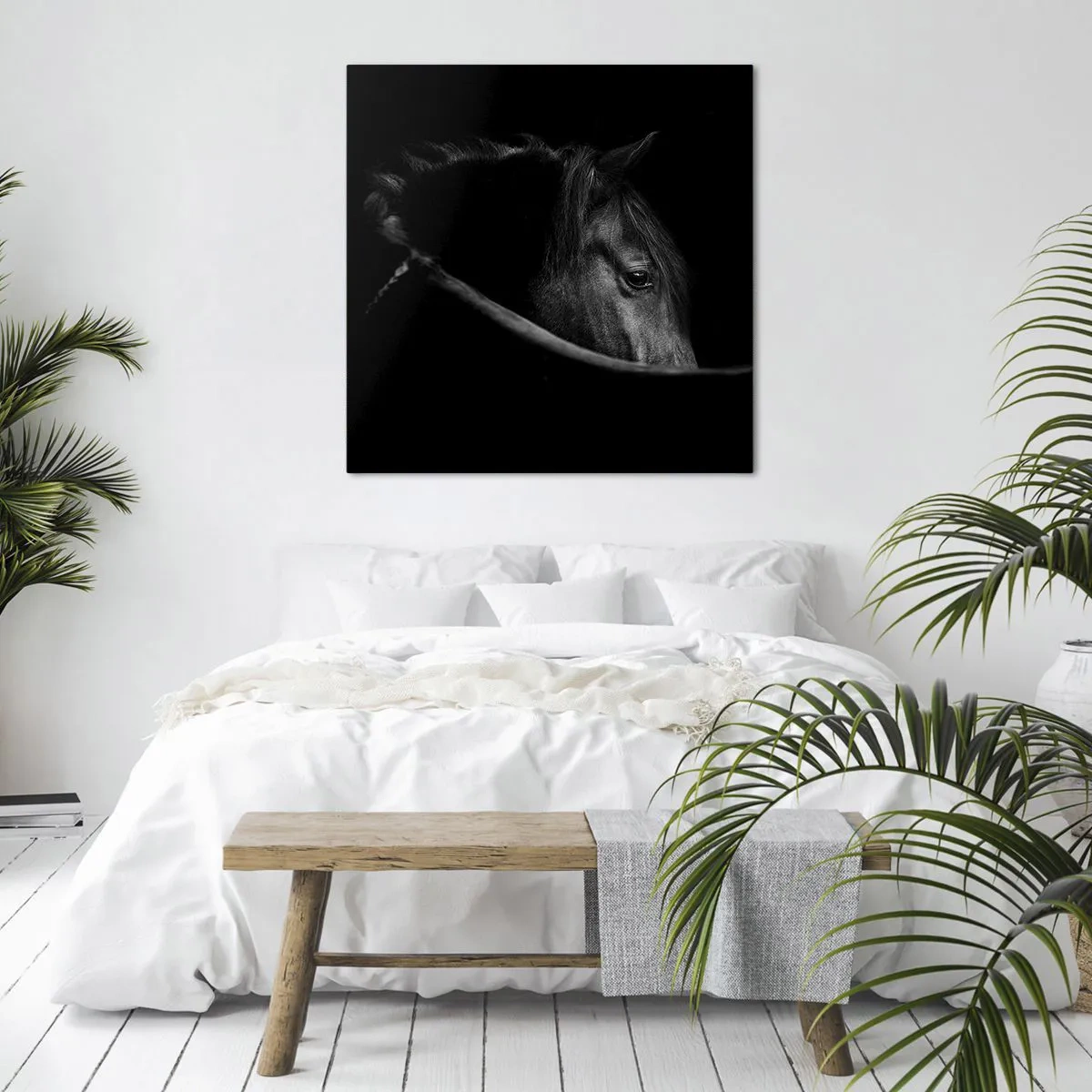 Obraz na płótnie - Czarny książę - 70x70 cm