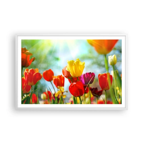 Plakat w białej ramie - Wszystkie barwy słońca - 91x61 cm