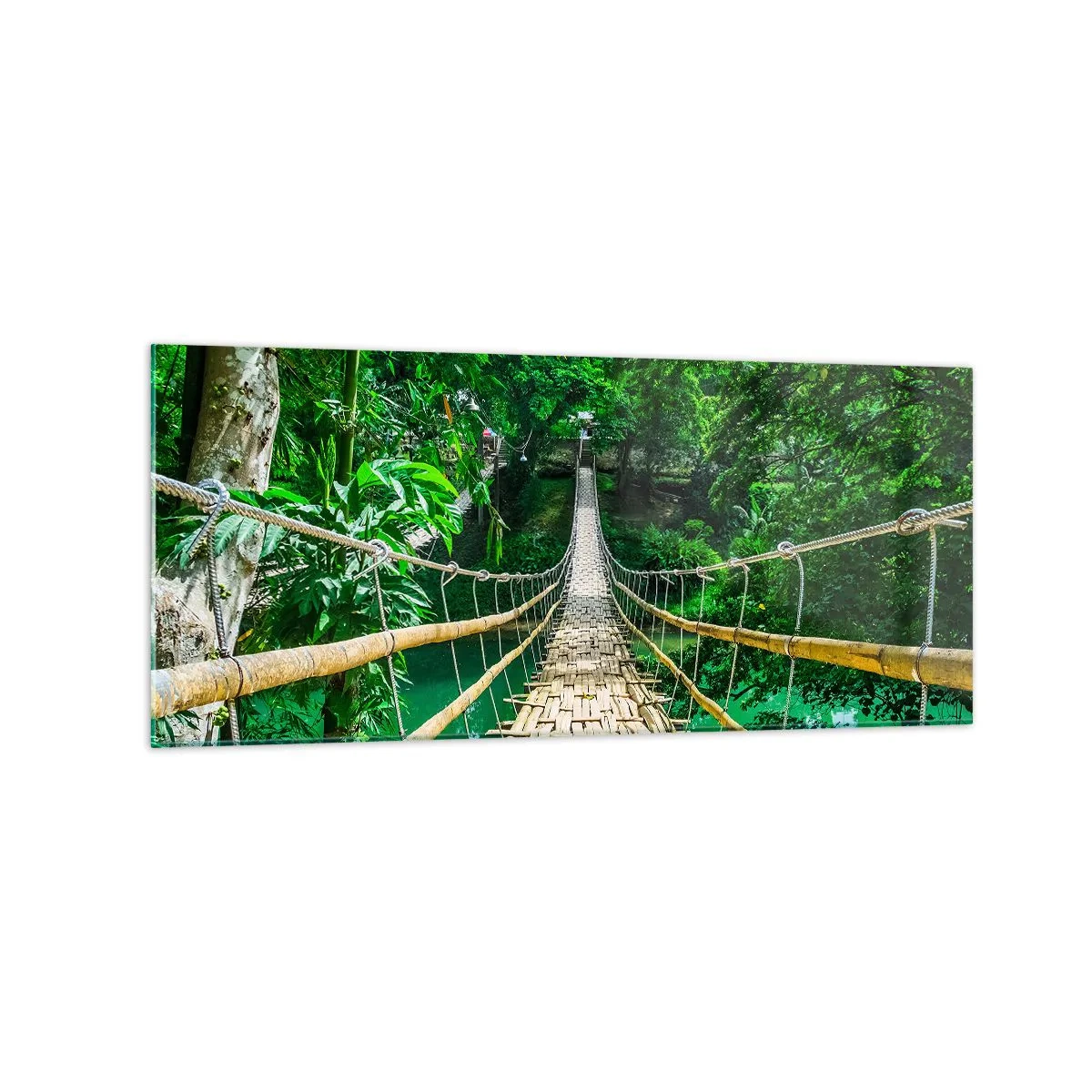 Obraz na szkle - Wiszący most bambusowy otoczony zielenią - 120x50cm - Małpi most nad zielenią - Nowoczesna dekoracja ścienna do salonu i sypialni ARTTOR