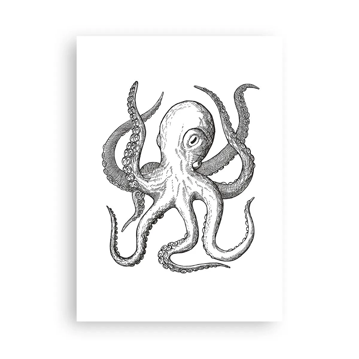 Plakat - Czarno-biała ilustracja ośmiornicy w stylu vintage - 50x70cm - Tańcząca z falami - Nowoczesna dekoracja ścienna do salonu, kuchni i sypialni ARTTOR