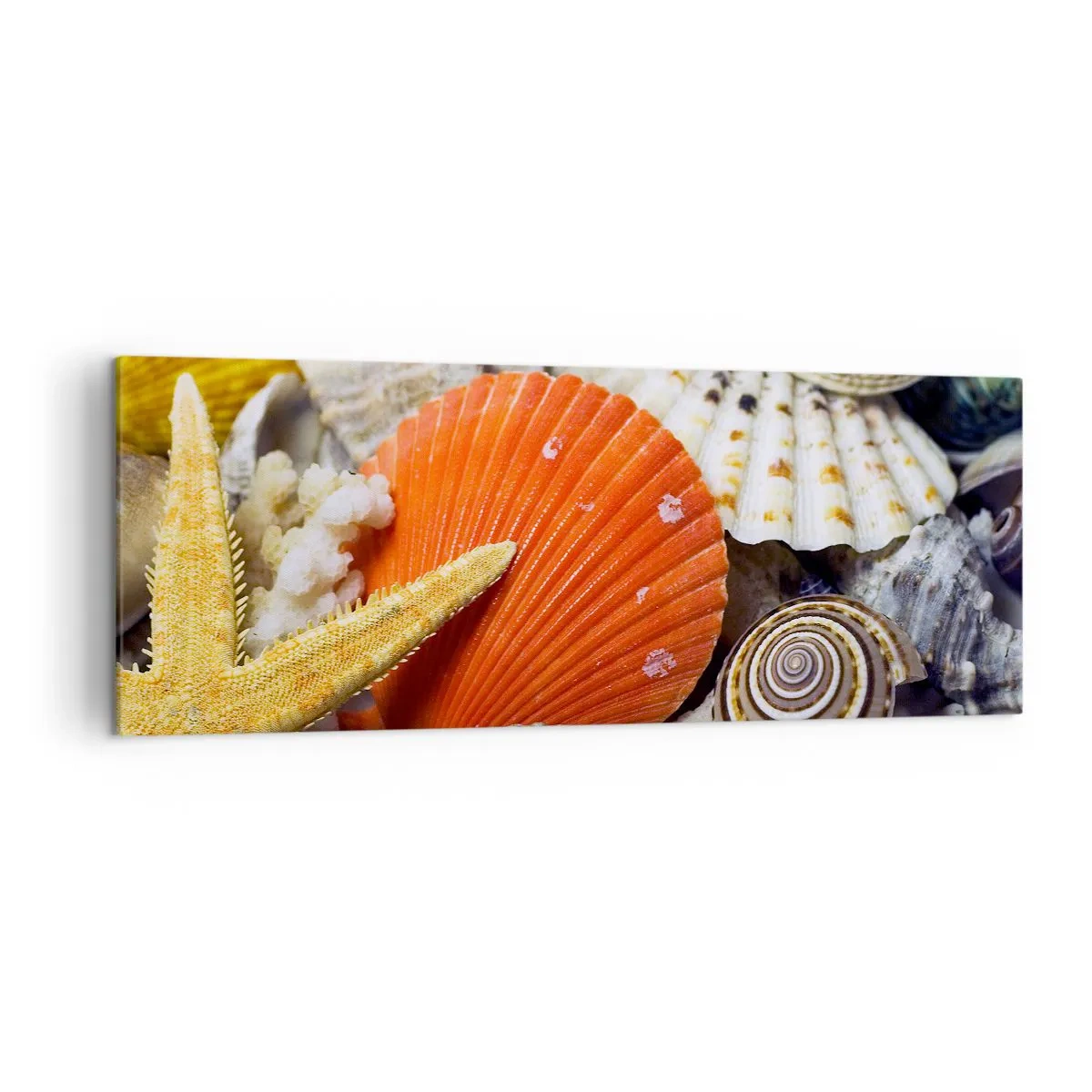 Obraz na płótnie - Muszle i rozgwiazda w kompozycji morskiej - 140x50cm - Skarby oceanu - Nowoczesna dekoracja ścienna do salonu i sypialni ARTTOR