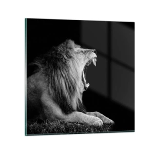 Obraz na szkle - Bez żadnych wątpliwości - 70x70 cm