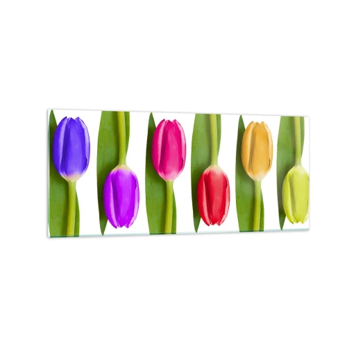 Obraz na szkle - Różnokolorowe tulipany ułożone w rzędzie na białym tle - 120x50cm - Tęczowa kompozycja - Nowoczesna dekoracja ścienna do salonu i sypialni ARTTOR