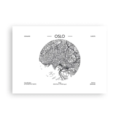 Plakat - Anatomia Oslo - 70x50 cm