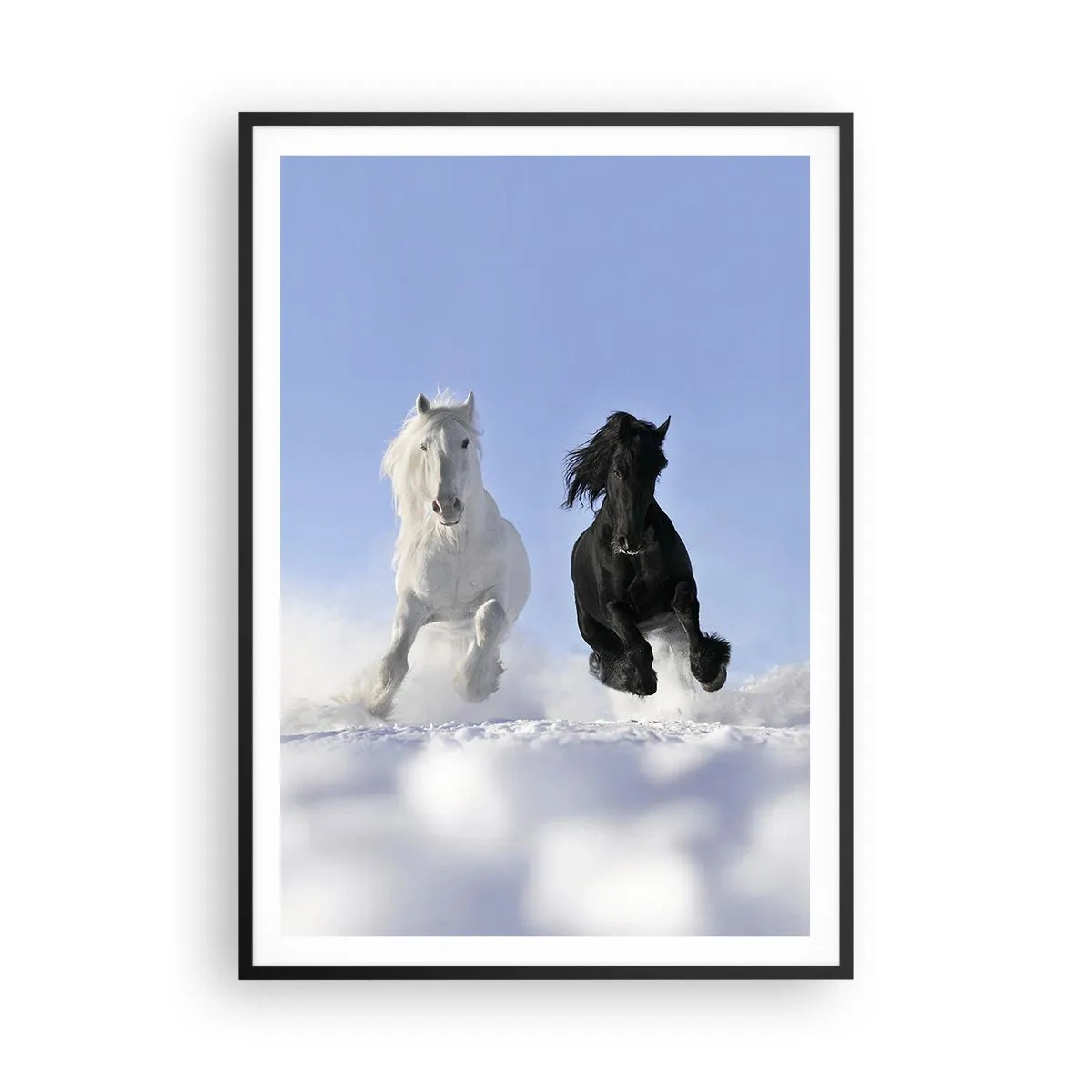 Plakat w czarnej ramie - Czarno-biały galop - 70x100 cm