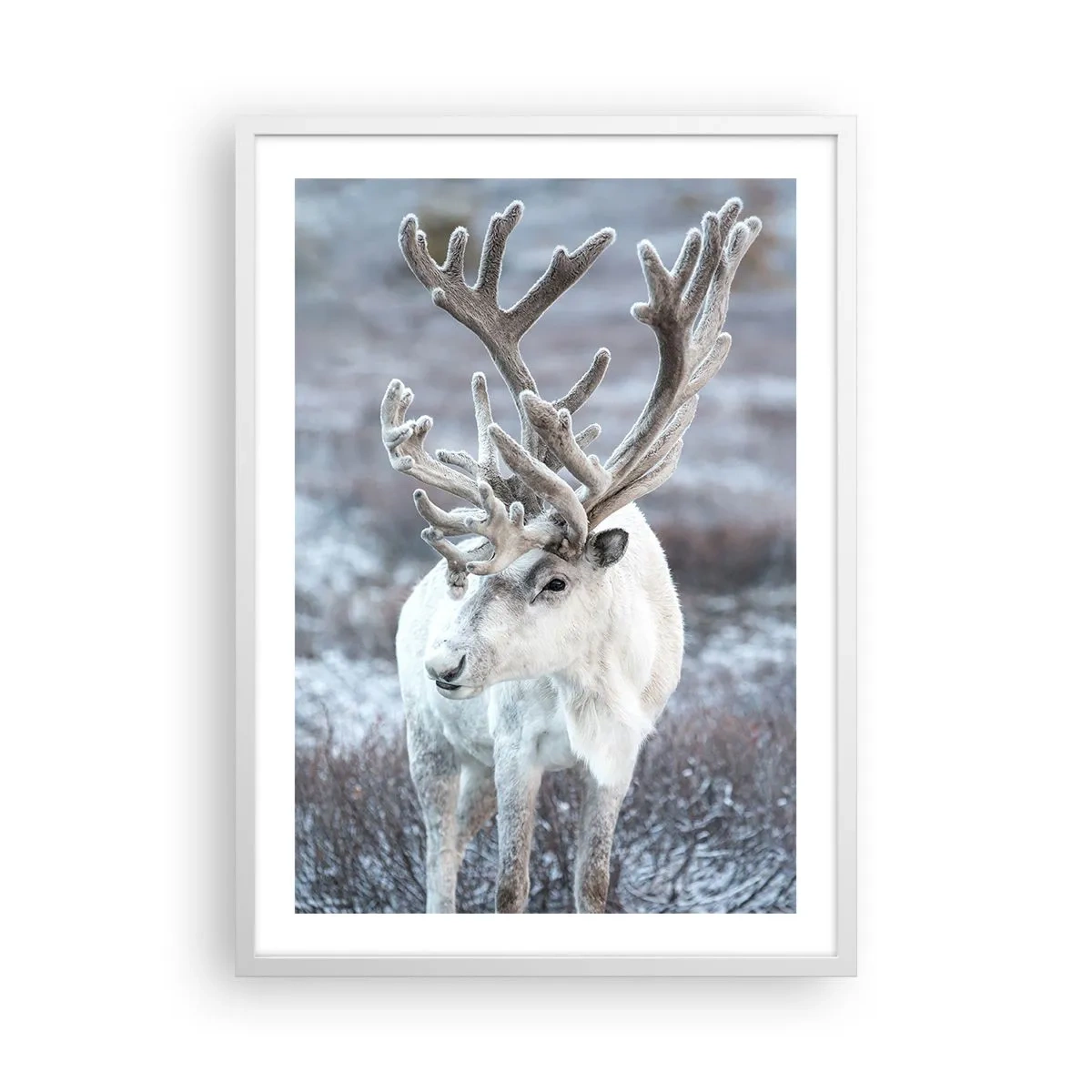 Plakat w białej ramie - Portret w słońcu - 50x70 cm