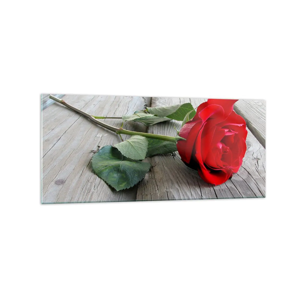 Obraz na szkle - Czerwona róża na drewnianym tle - 120x50cm - Studium w szkarłacie - Nowoczesna dekoracja ścienna do salonu i sypialni ARTTOR