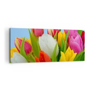 Obraz na płótnie - Kwiatowa tęcza w kroplach rosy - 100x40 cm