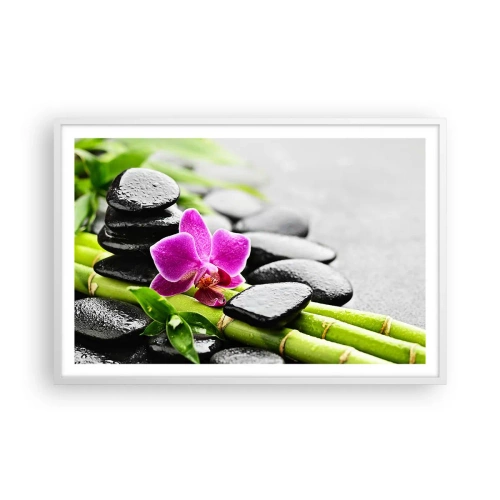 Plakat w białej ramie - W spokojnej równowadze - 91x61 cm