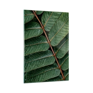 Obraz na szkle - Zielone liście z kroplami rosy w makro ujęciu - 80x120cm - W zielonym rytmie - Nowoczesna dekoracja ścienna do salonu i sypialni ARTTOR