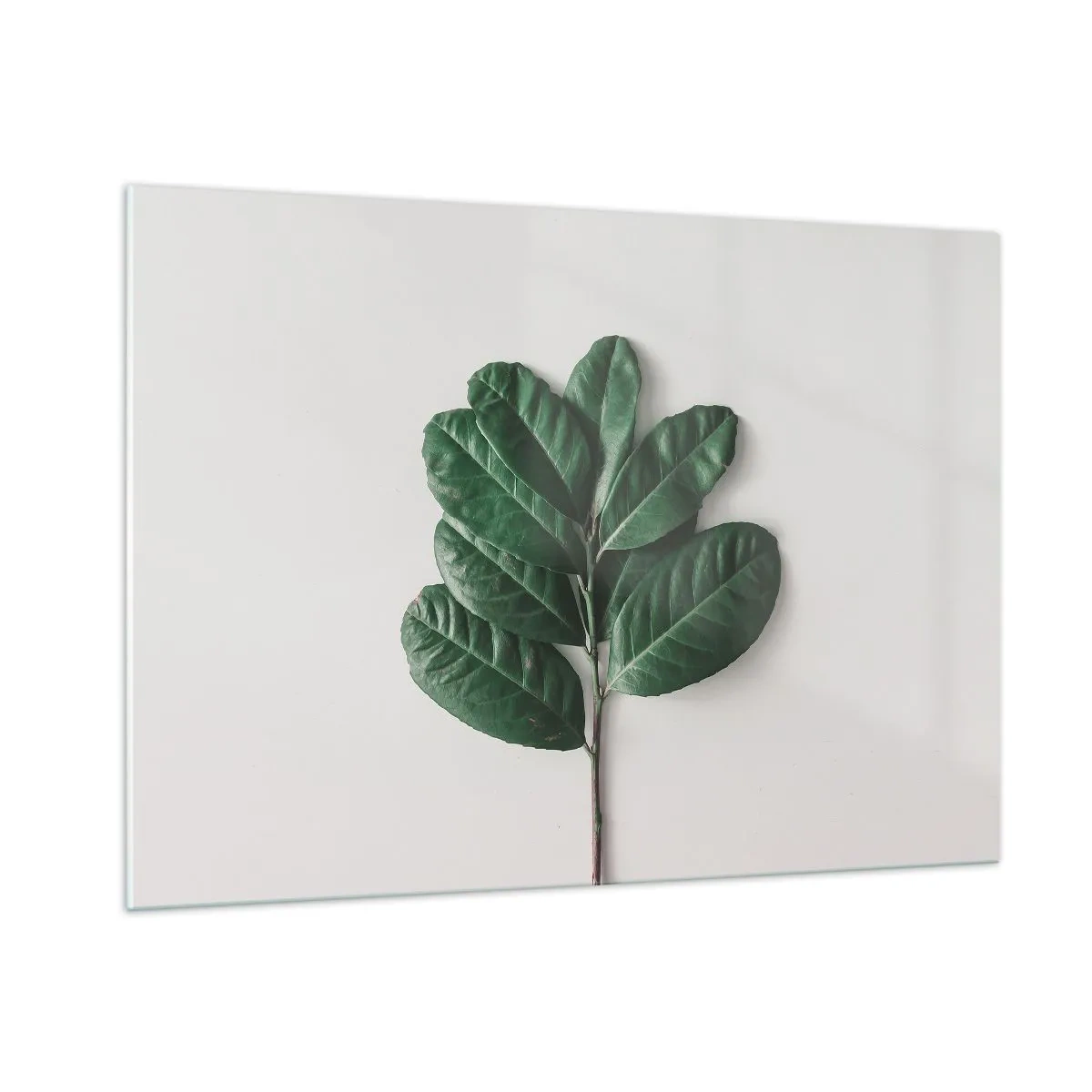 Obraz na szkle - Gałązka z zielonymi liśćmi na jasnym tle - 100x70cm - Rysunek samej natury - Nowoczesna dekoracja ścienna do salonu, kuchni i sypialni ARTTOR