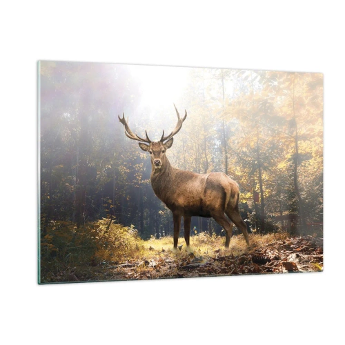 Obraz na szkle - Dostojny jeleń w jesiennym lesie oświetlonym słońcem - 120x80cm - W pełnym majestacie - Nowoczesna dekoracja ścienna do salonu, kuchni i sypialni ARTTOR
