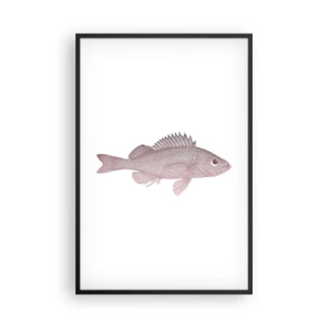 Plakat w czarnej ramie - Ryba wielkooka - 61x91 cm