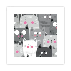 Plakat - Koci świat - 30x30 cm