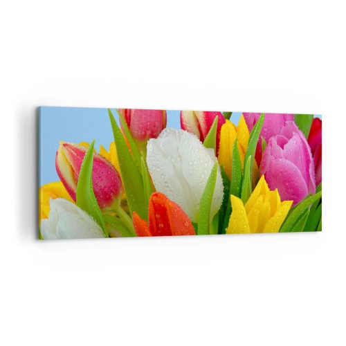 Obraz na płótnie - Kwiatowa tęcza w kroplach rosy - 100x40 cm