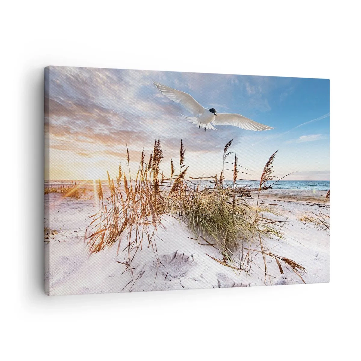 Obraz na płótnie - Plaża z lotem mewy o zachodzie słońca - 70x50cm - Wiatr od morza - Nowoczesna dekoracja ścienna do salonu i sypialni ARTTOR