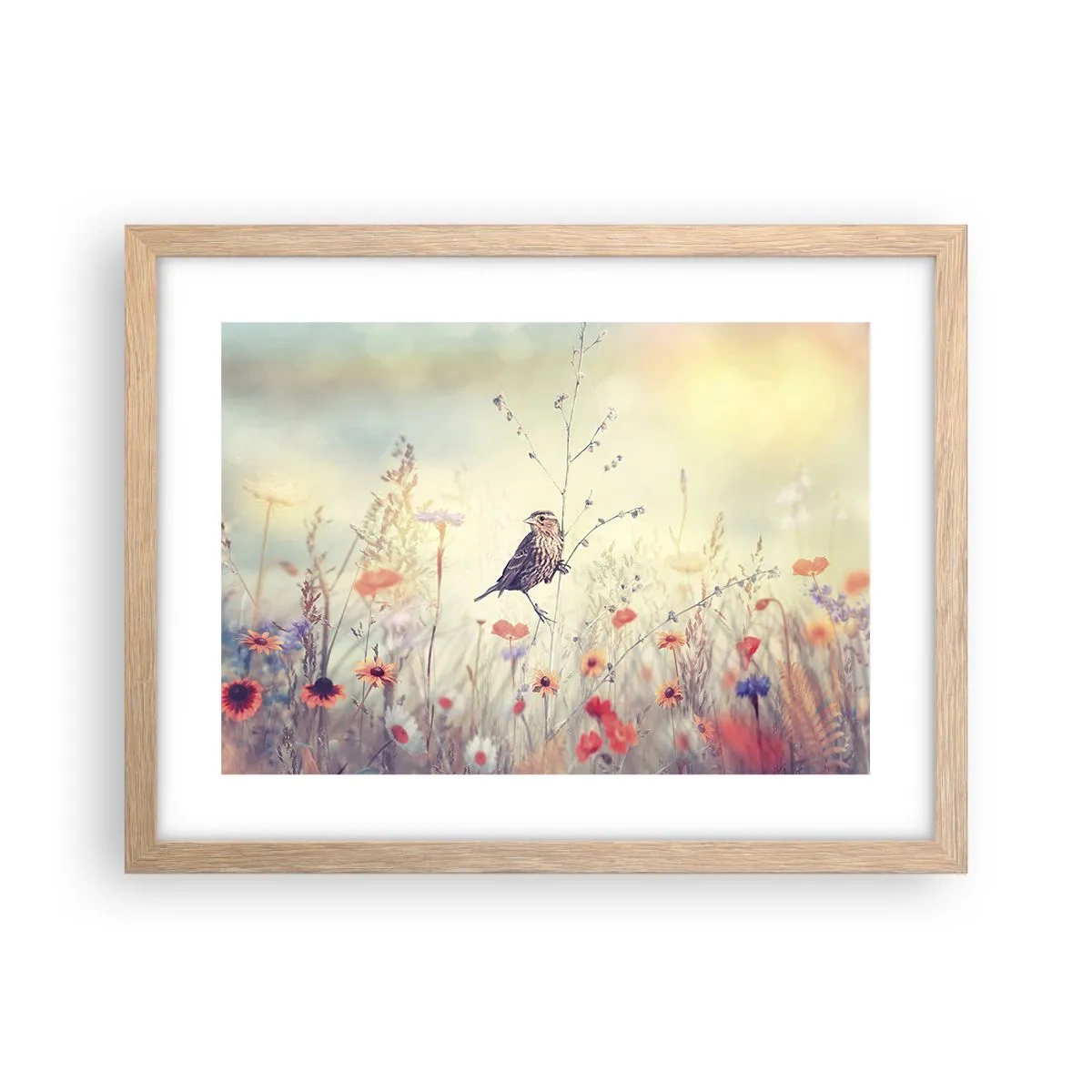 Plakat w ramie jasny dąb - Ptasi portret z łąką w tle - 40x30 cm