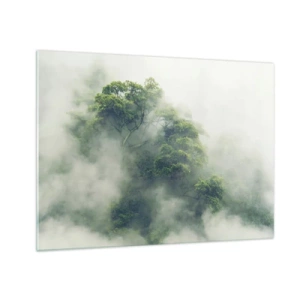 Obraz na szkle - Drzewa tropikalnego lasu wyłaniające się z gęstej mgły - 70x50cm - Otulone mgłą - Nowoczesna dekoracja ścienna do salonu i sypialni ARTTOR