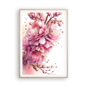Plakat w ramie jasny dąb - Kwiat kwitnącej wiśni - 70x100 cm