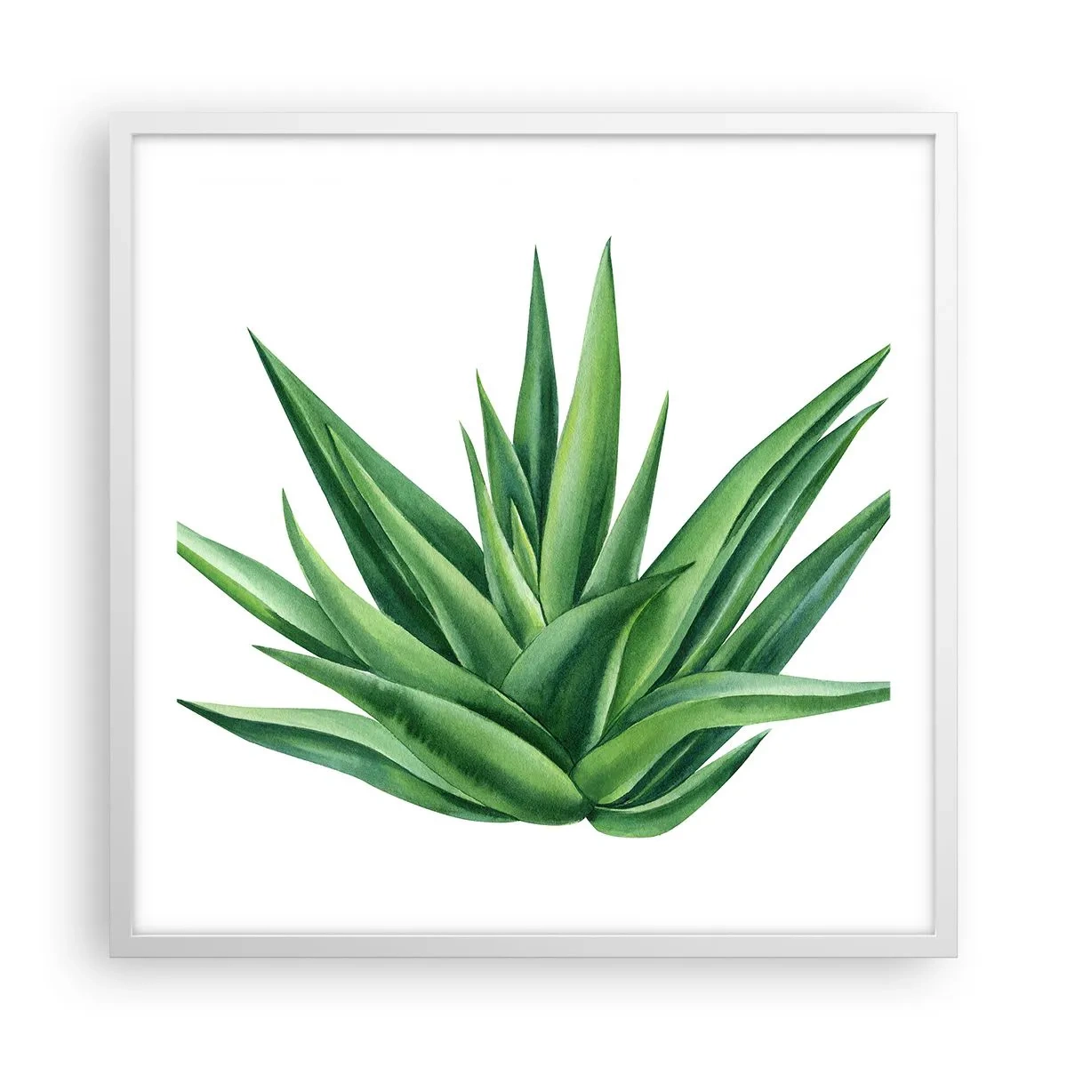 Plakat w białej ramie - Zieleń – siła – życie - 60x60 cm