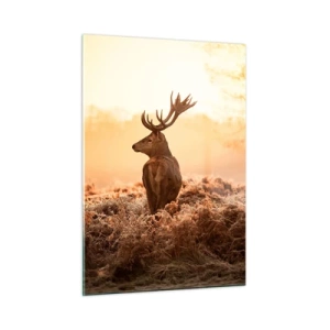 Obraz na szkle - Jeleń na tle wschodu słońca w naturalnym krajobrazie - 50x70cm - Pan na włościach - Nowoczesna dekoracja ścienna do salonu, kuchni i sypialni ARTTOR