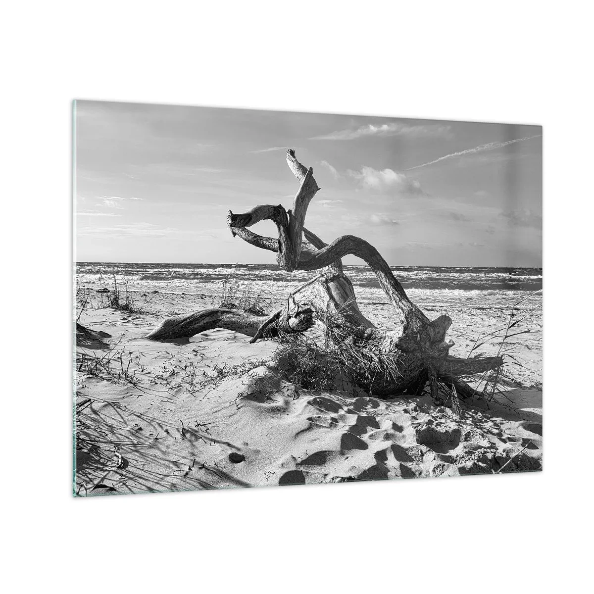 Obraz na szkle - Czarno-biały pejzaż z wyrzuconym konarem na nadmorskiej plaży - 70x50cm - Morska rzeźba - Nowoczesna dekoracja ścienna do salonu i sypialni ARTTOR
