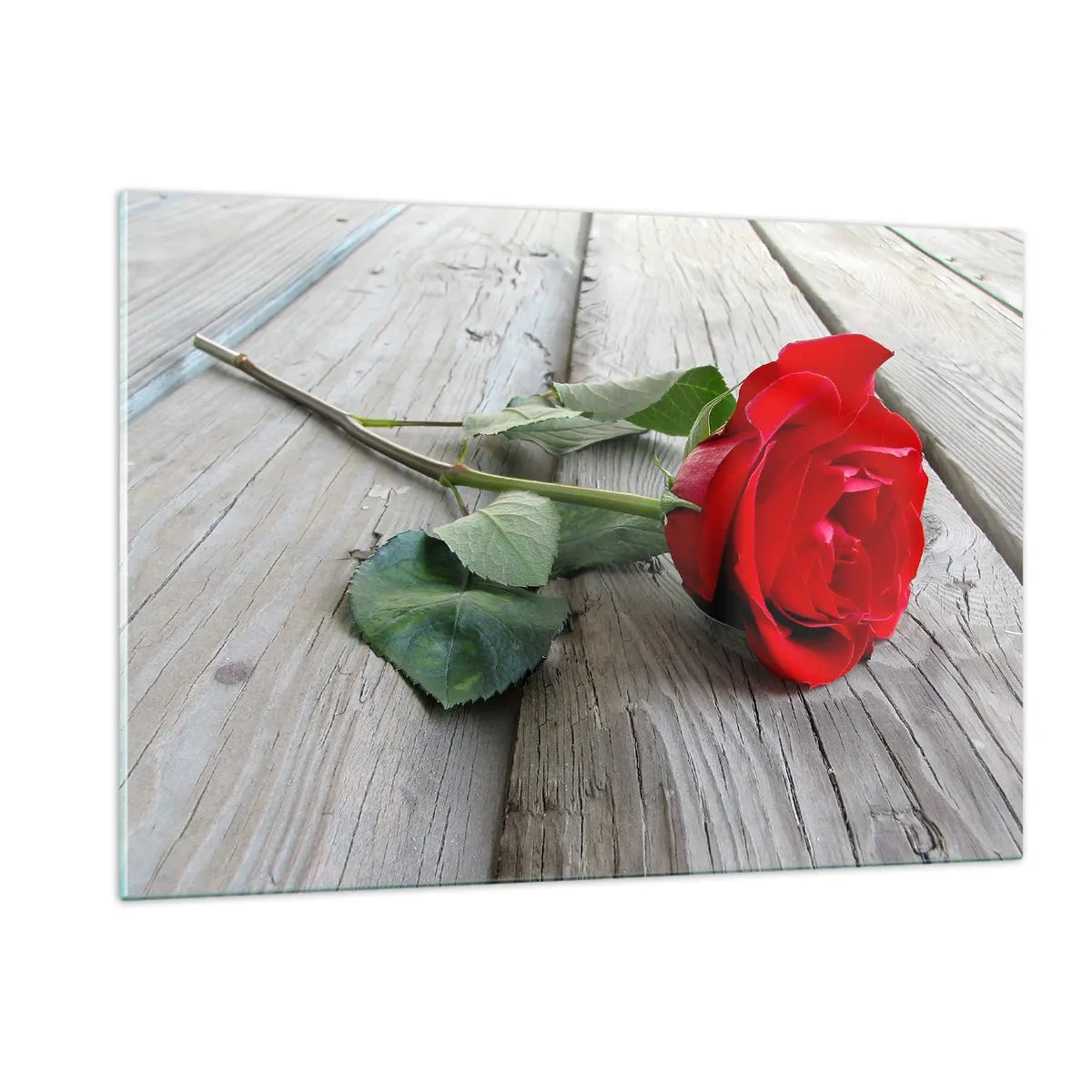 Obraz na szkle - Czerwona róża na drewnianej desce - 120x80cm - Studium w szkarłacie - Nowoczesna dekoracja ścienna do salonu, kuchni i sypialni ARTTOR