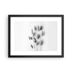 Plakat w czarnej ramie - Jej puszystość trawa - 40x30 cm