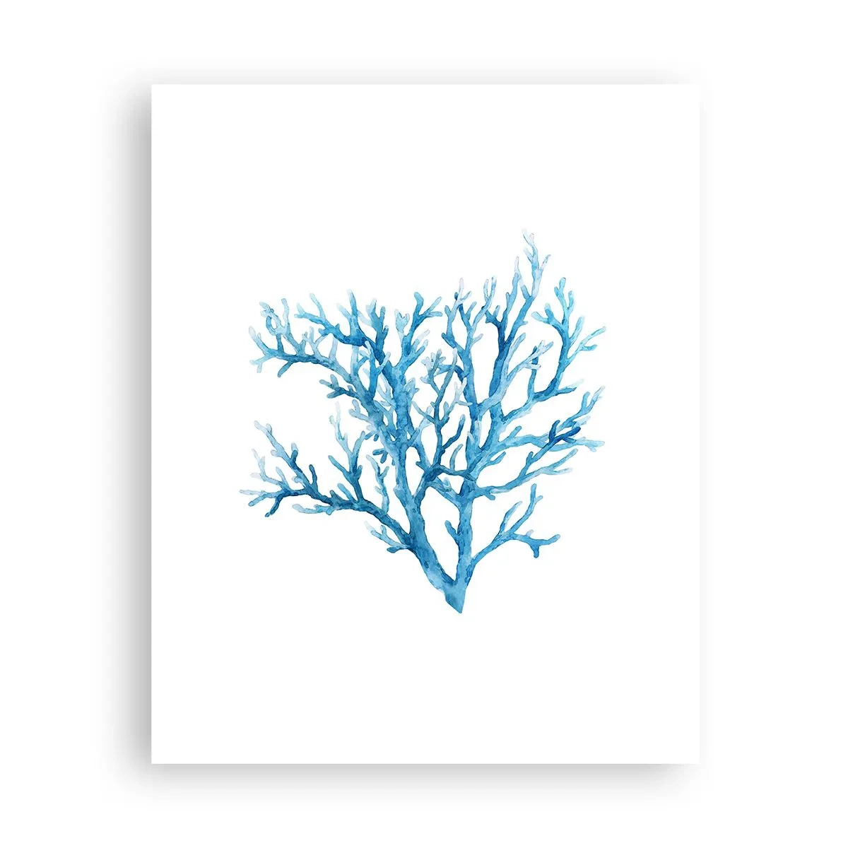 Plakat - Morski filigran - 40x50 cm