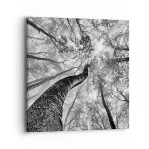 Obraz na płótnie - Wyścig do światła - 40x40 cm