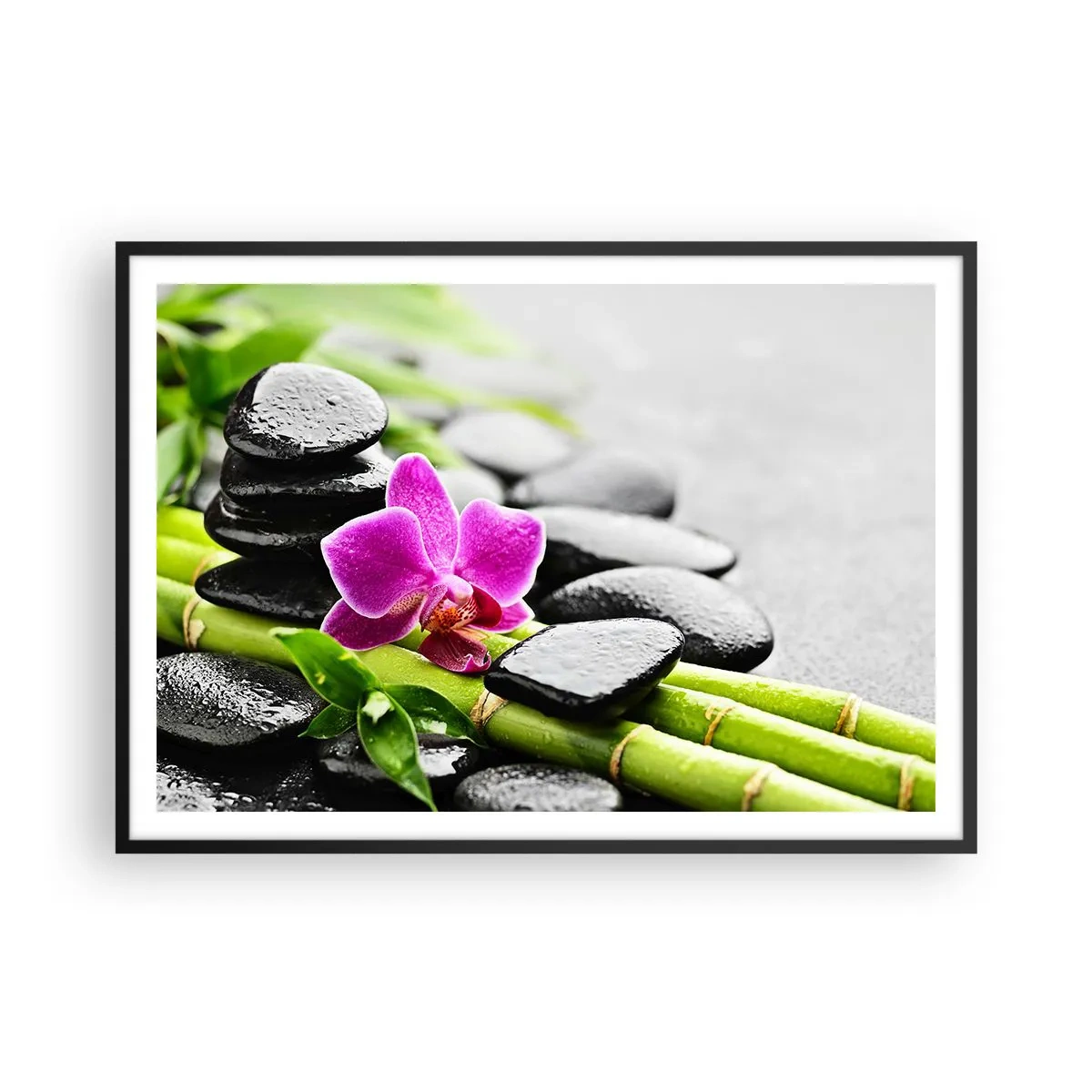 Plakat w czarnej ramie - Fioletowa orchidea, czarne kamienie i bambus w spokojnej kompozycji - 100x70cm - W spokojnej równowadze - Nowoczesna dekoracja ścienna do salonu i sypialni ARTTOR